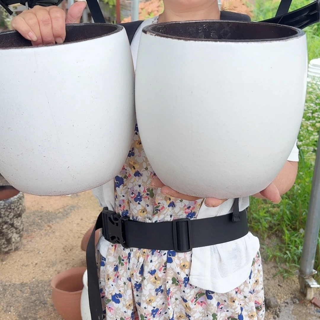 紫砂花盆白蛋壳两个口径20高度20