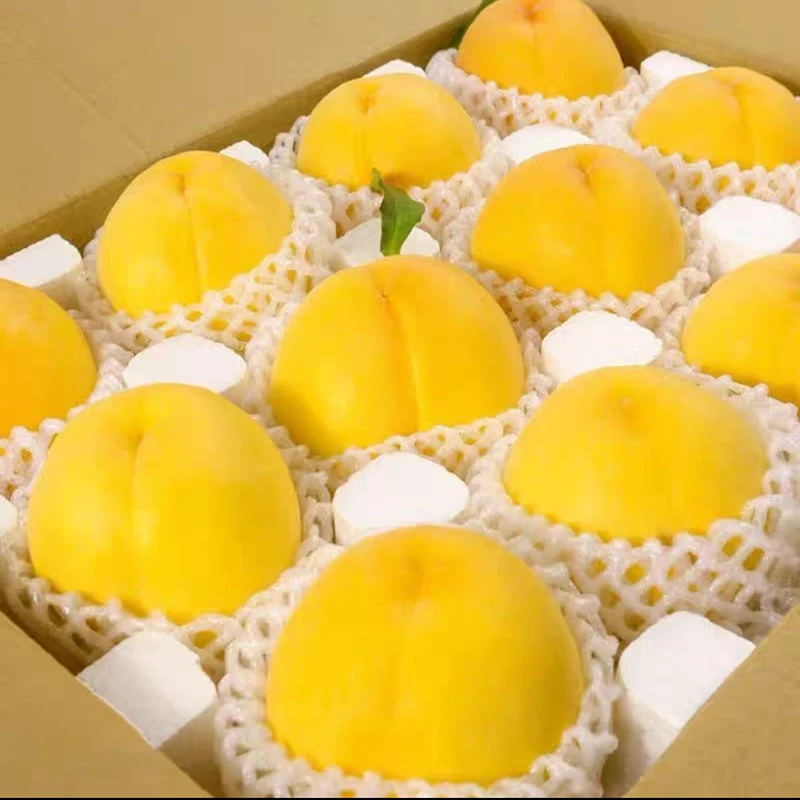 【产地直发】硬脆甜陕西秦岭果园新鲜采摘桃子头茬中秋应季水果锦绣