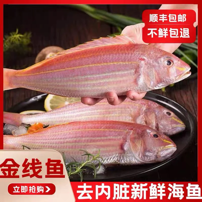 福建海钓金线鱼杀好去磷去肚一盒3到4条400克