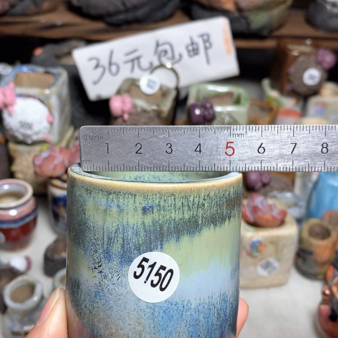 拍5送一个小礼物