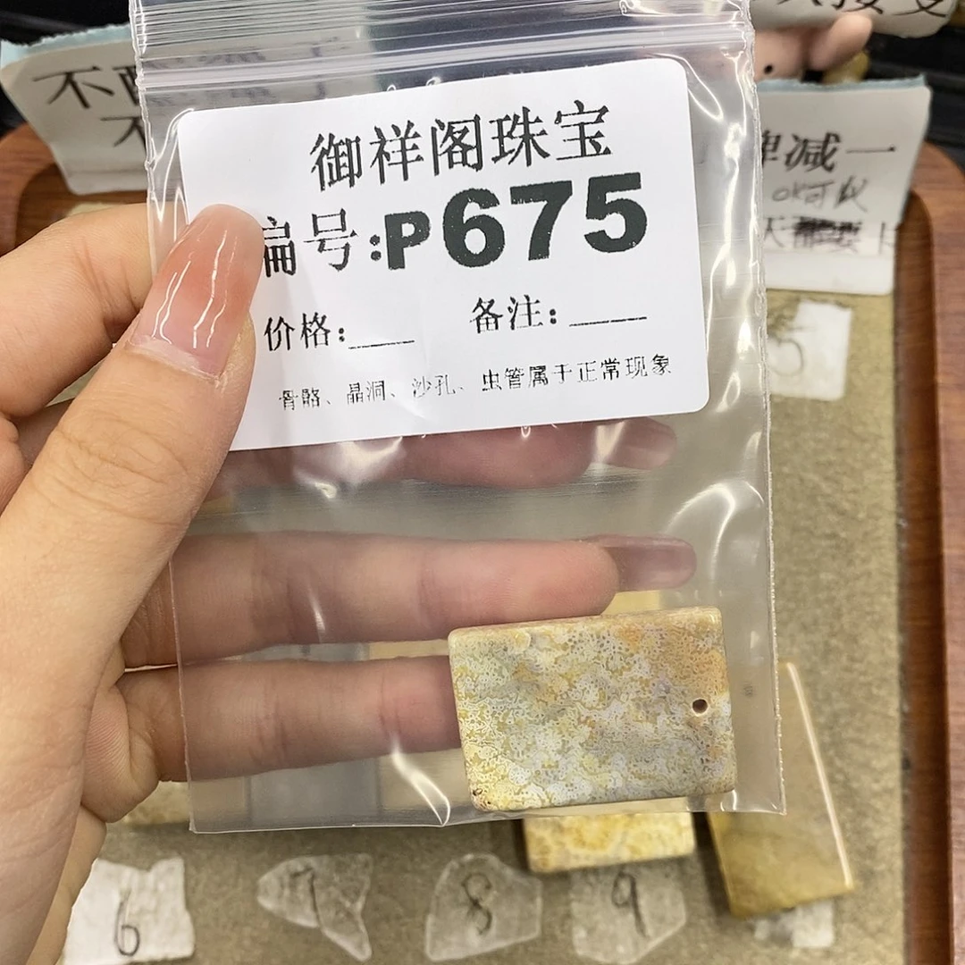 硅化珊瑚（珊瑚玉）未镶嵌颈饰盏*