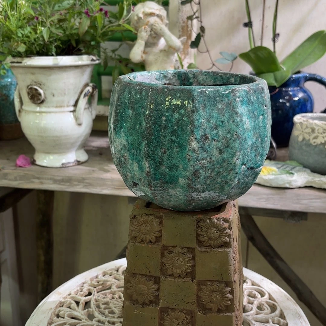 粗糙的花房 绿色福利釉面盆