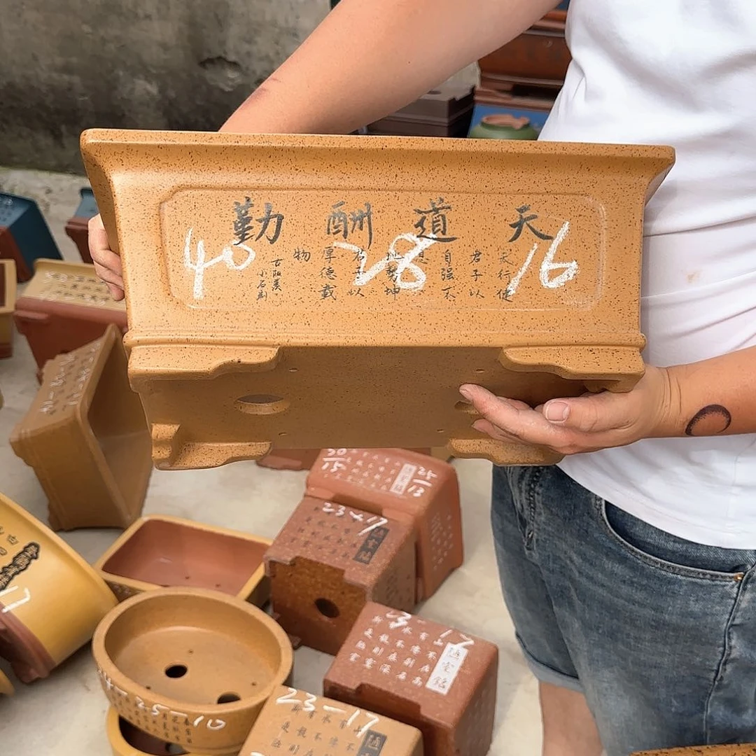 紫砂花盆这是我第一