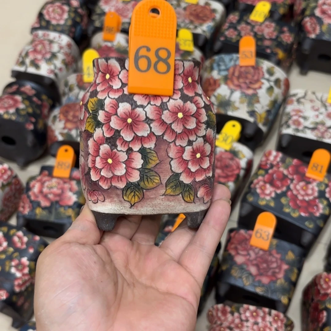 ****8多肉花盆哈哈哈哈哈哈哈哈哈哈