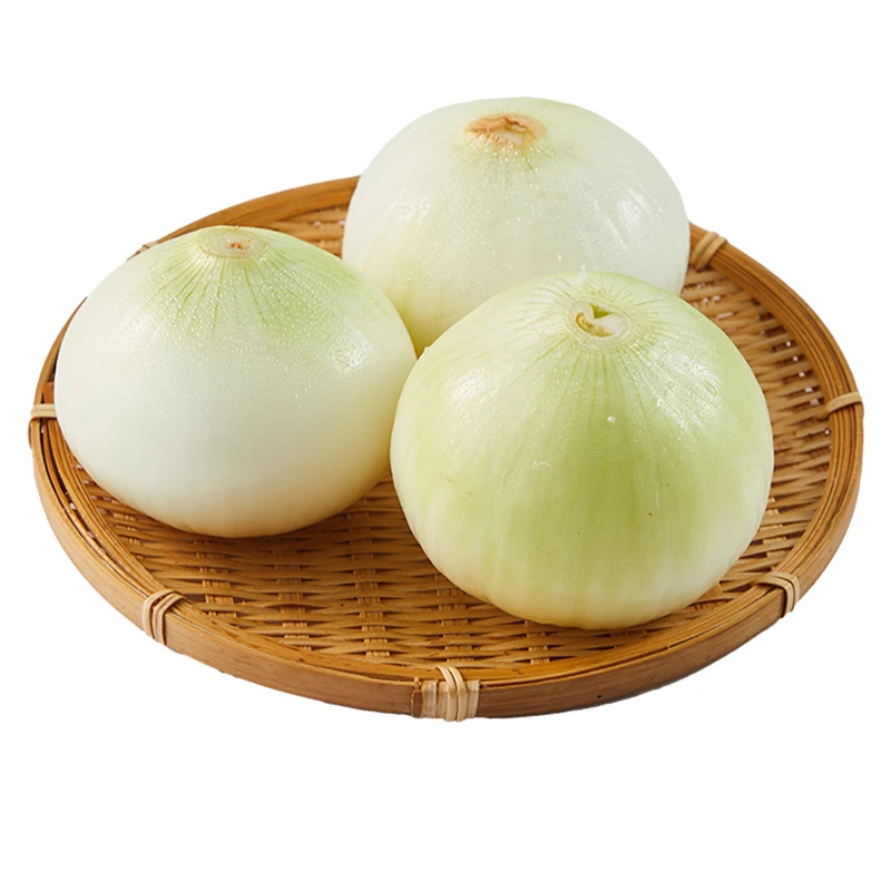 白洋葱500g±50g洋葱同城送洋葱同城送
