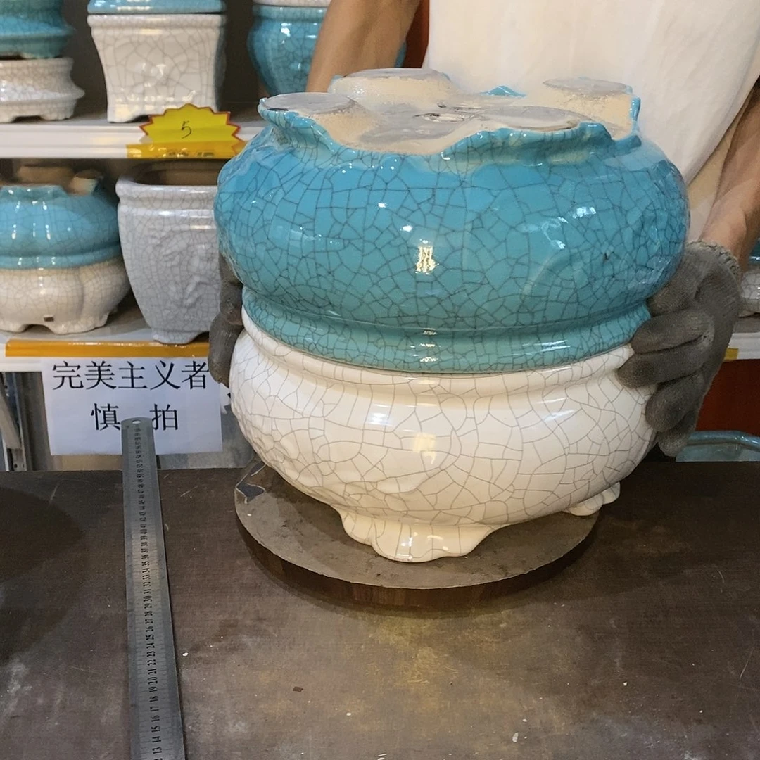 人**茶花盆花盆里的花都