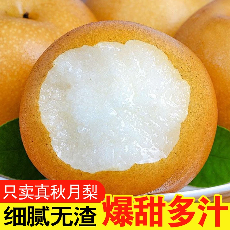山东秋月梨4.5斤装新鲜水果多汁香甜莱阳梨子冰糖梨