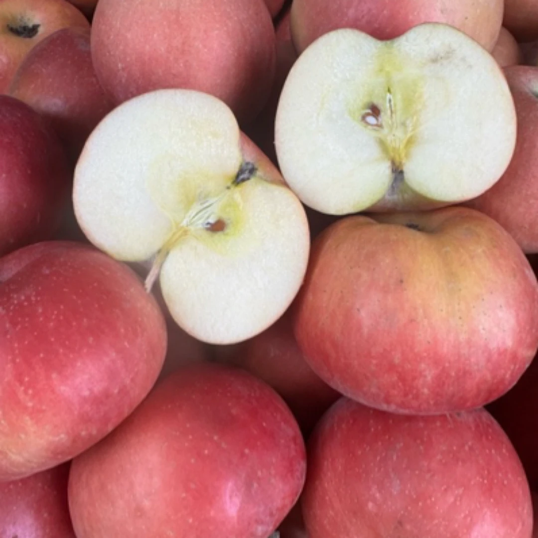 阿克苏小苹果脆甜多汁京东送货上门乌鲁木齐昌吉石河子五家渠克拉玛依包邮阿克苏苹果