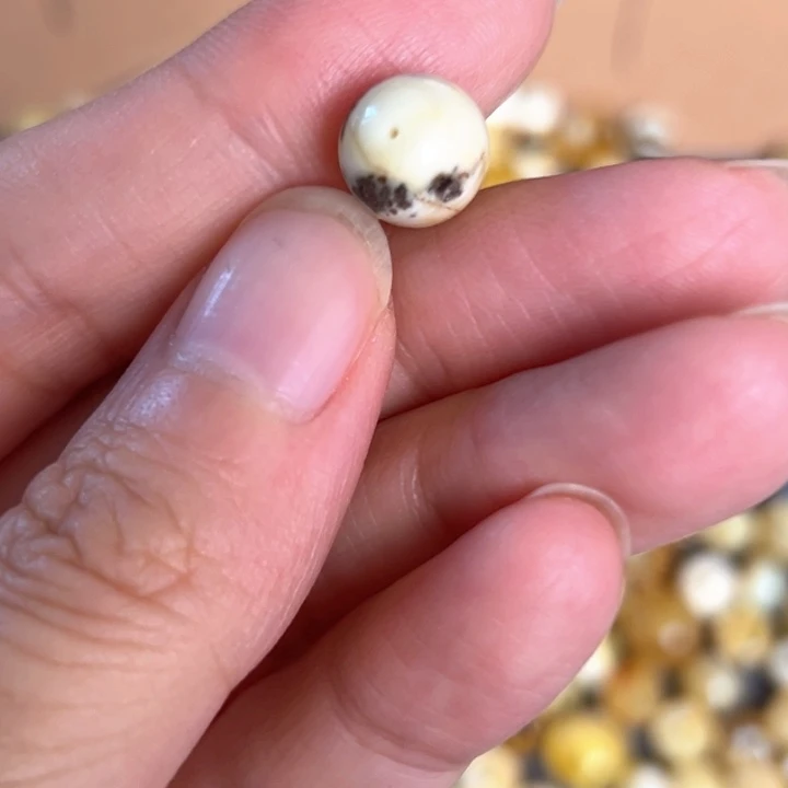 未镶嵌蜜蜡裸石9.2mm一个