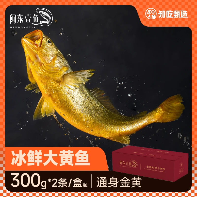 闽东壹鱼海钓小黄鱼现捕现捞半野生黄鱼冰鲜冷冻黄花鱼整箱