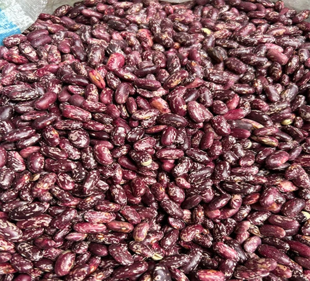 镇雄本地花经豆 煮酸汤