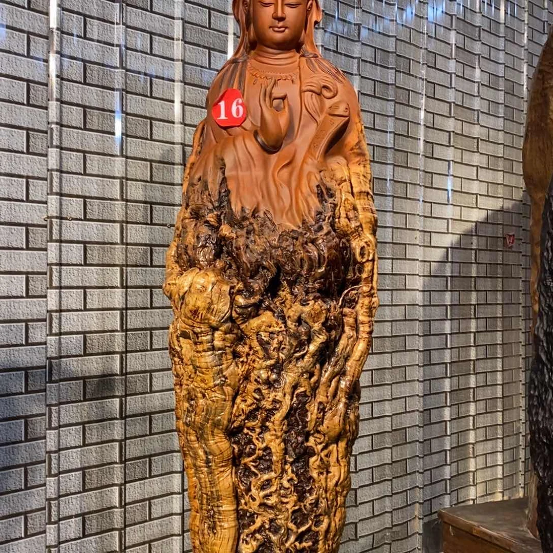 枣木远**技16号观音（送楼下