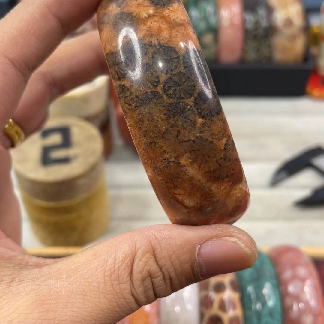 未镶嵌手镯硅化玉