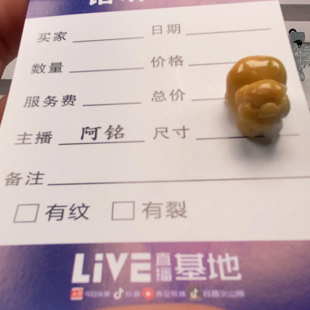 财***娘翡翠未镶嵌颈饰           6