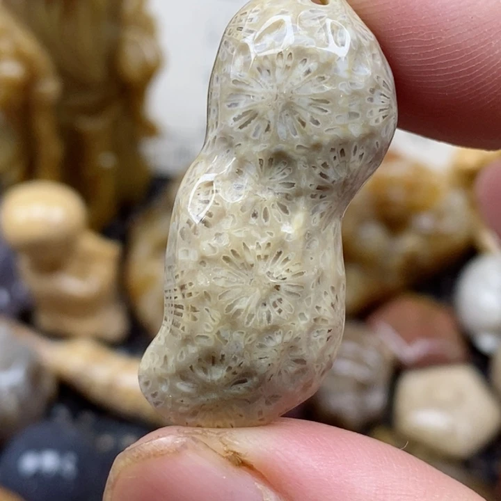 颈饰未镶嵌硅化珊瑚（珊瑚玉）