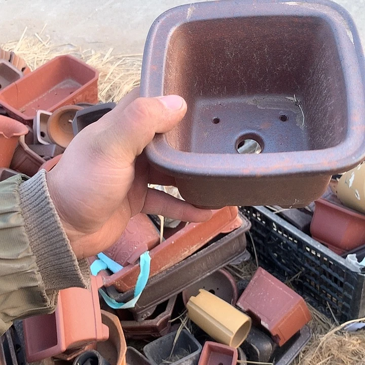 紫砂淘宝的优惠券真的便宜很多