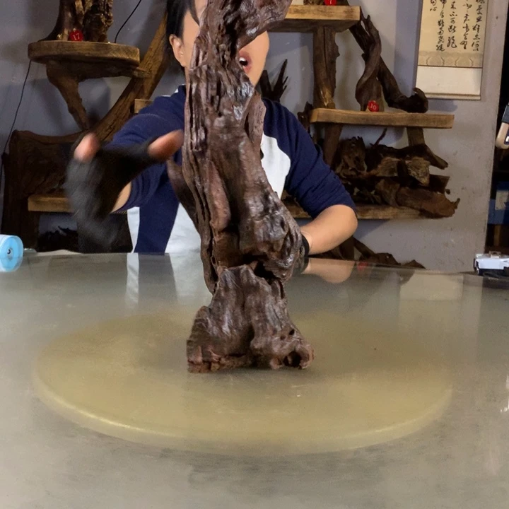 ****️天然云南紫柚木会黄水