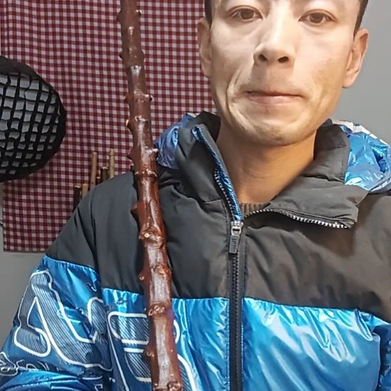 (***度太行山北对节鞭杆