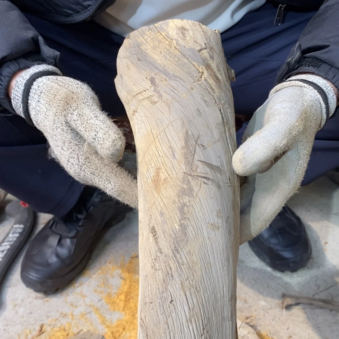 柏木（崖柏）虎皮纹料
