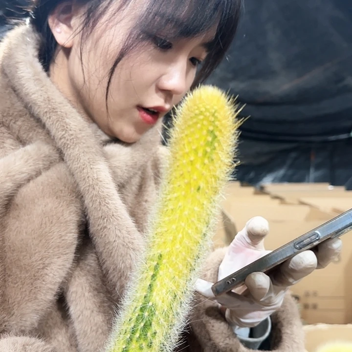 九尾狐锦（无根）111111