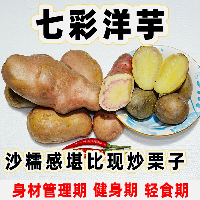 云南七彩洋芋家常蔬菜现挖新鲜红心土豆高原产七彩红心洋芋3斤装