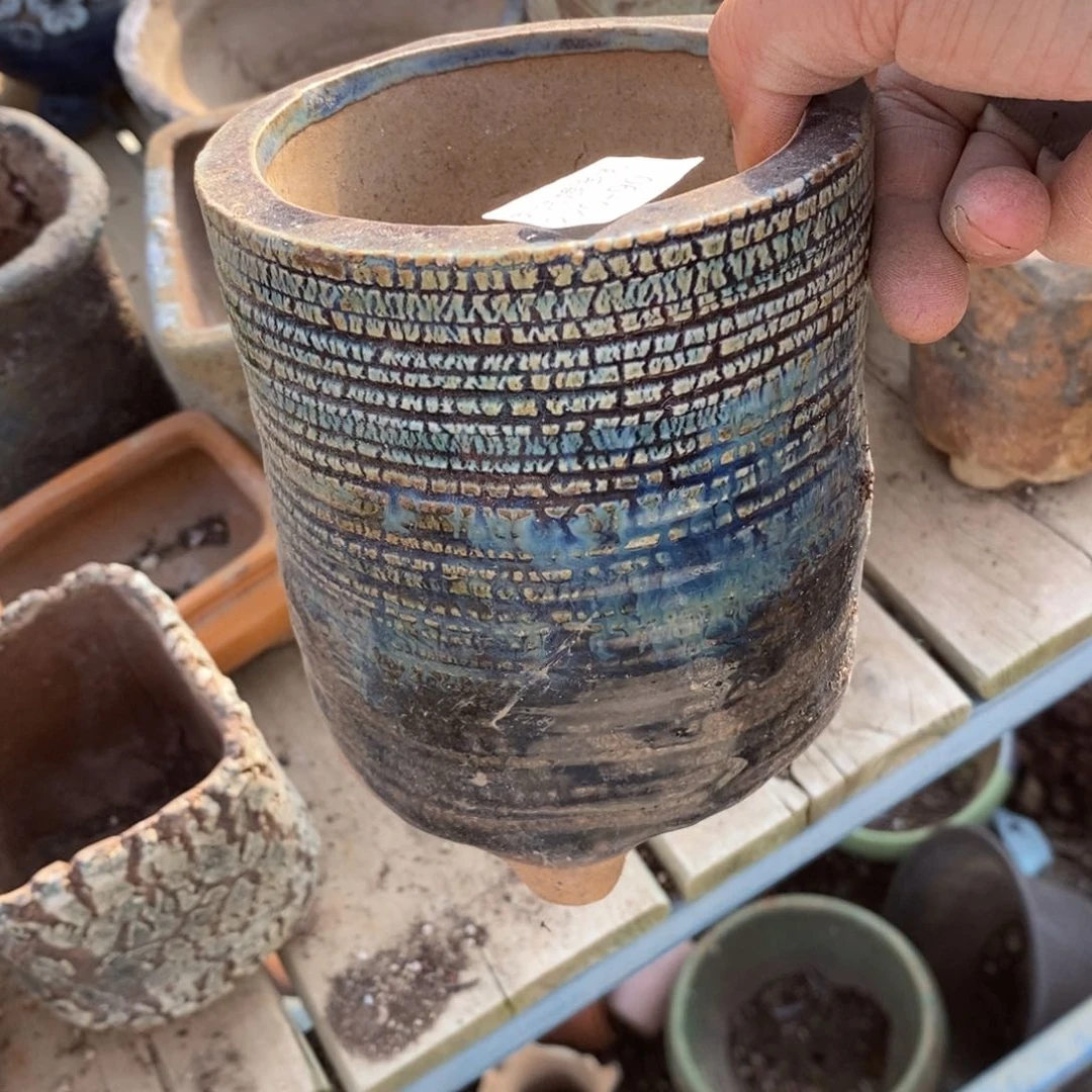 红陶༻****༺90号多肉盆一个呀