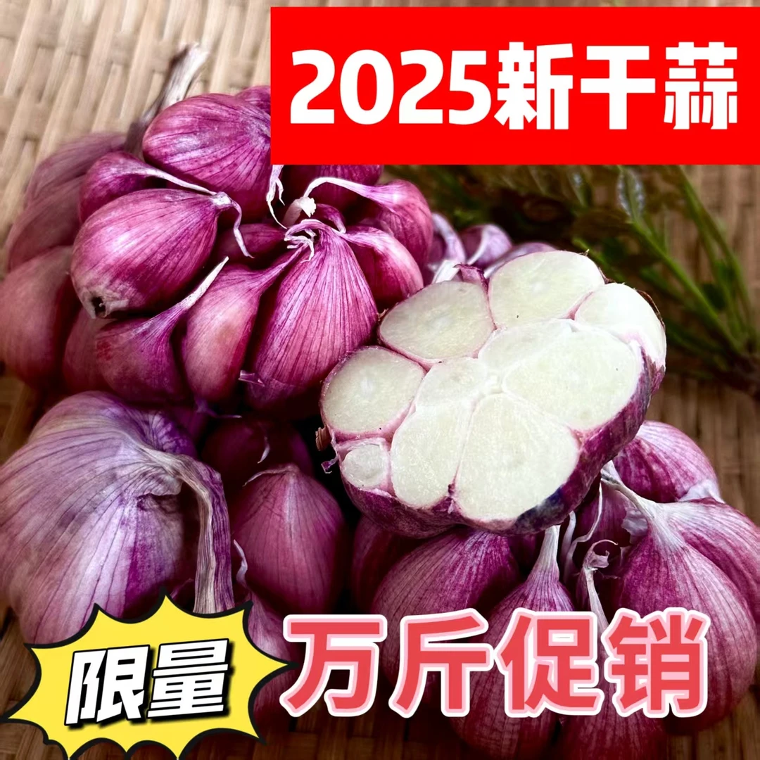 正宗云南大蒜干蒜自然种植 粒大饱满 蔬菜蒜农家自种