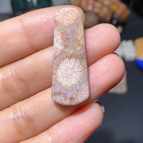 【闪购商品】硅化玉吊坠(不含链)未镶嵌