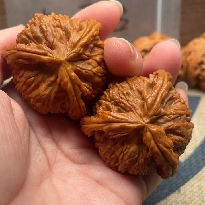 昊***生核桃白狮子41核桃