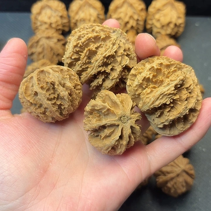 福***我也不知道我为什么要