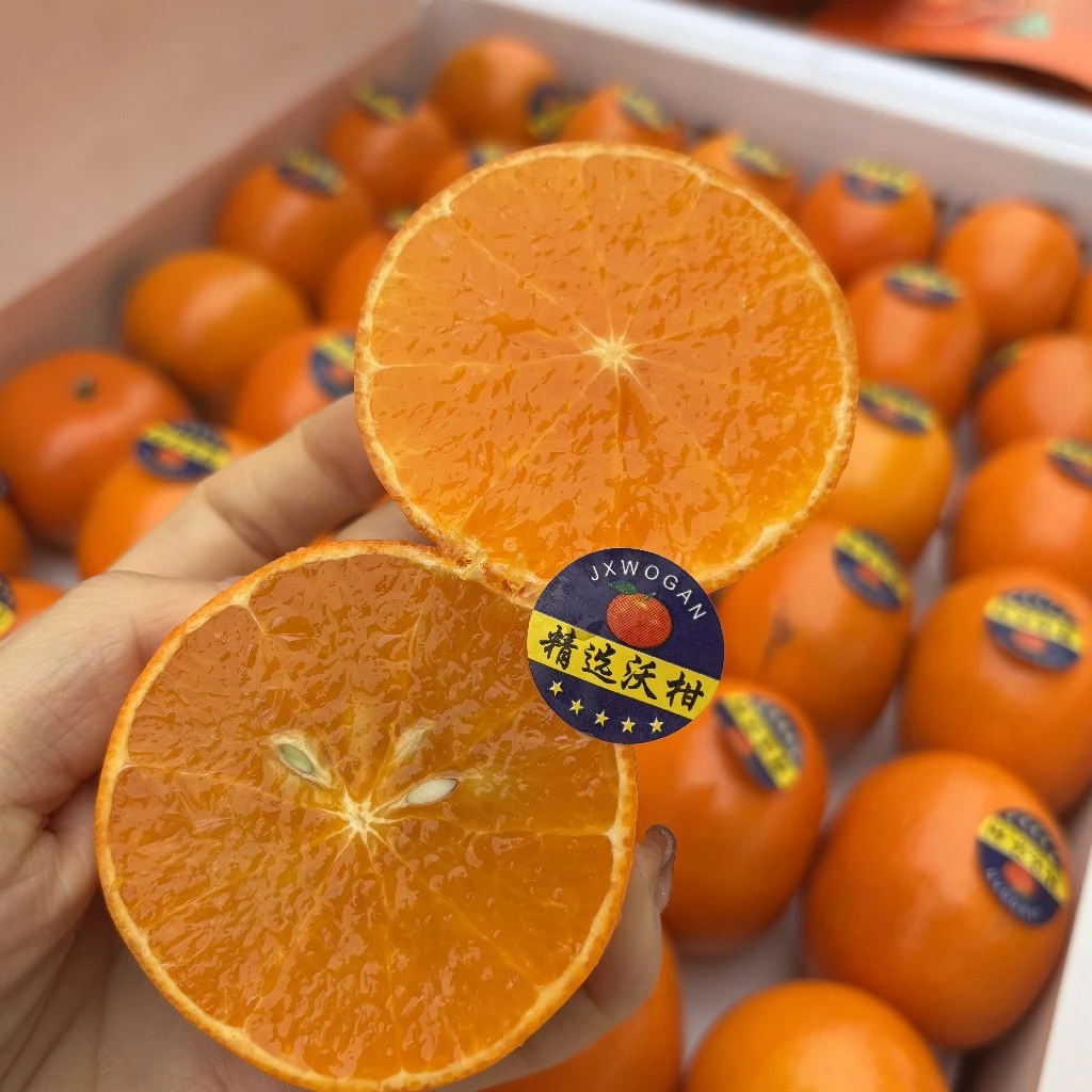 广西武鸣沃柑 柑橘 很甜汁水充足 约4斤/5斤