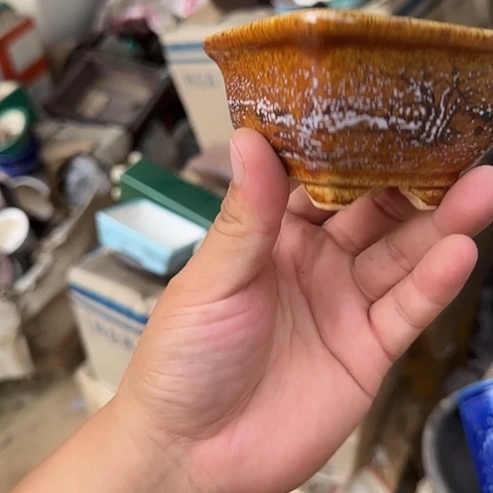 在我眼看世界是那么渺小美好