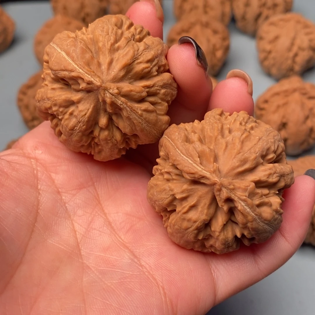 文玩核桃吊坠霸王龙41