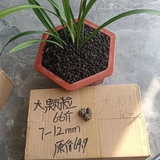 邹***堂兰菌黑山土大颗粒6.6斤