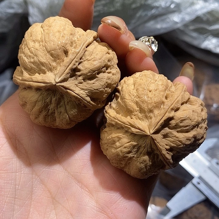 核桃云南野生铁核桃28号42mm