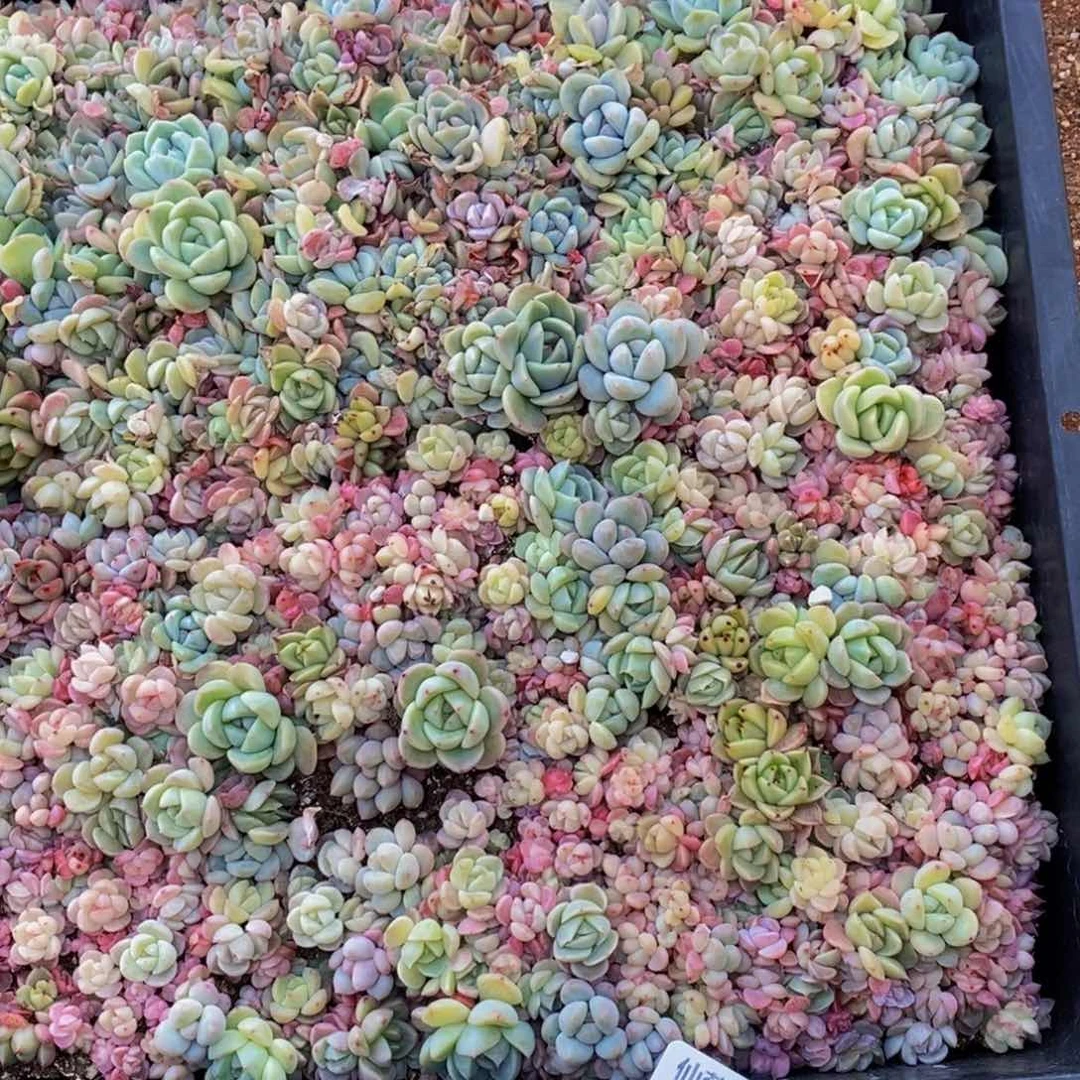 陈*太298多人在一起的时候我