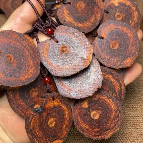 藤类A488降真香黄金甲牌子发其一