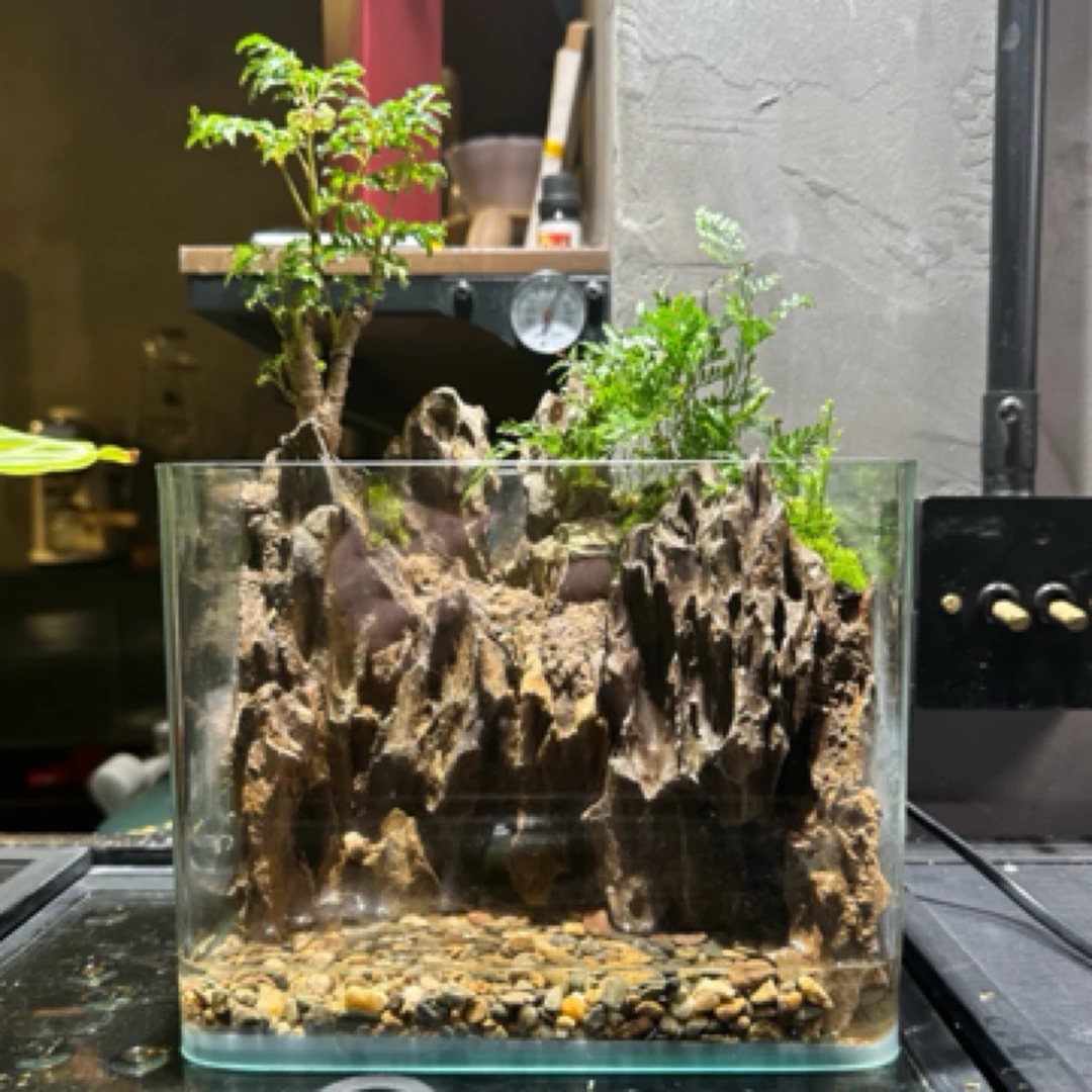 20cm松皮石山水溪流水陆缸
