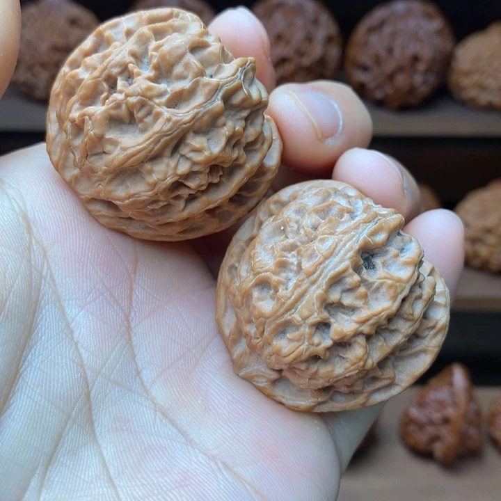 天***站龙脊菩提吊坠苹果园