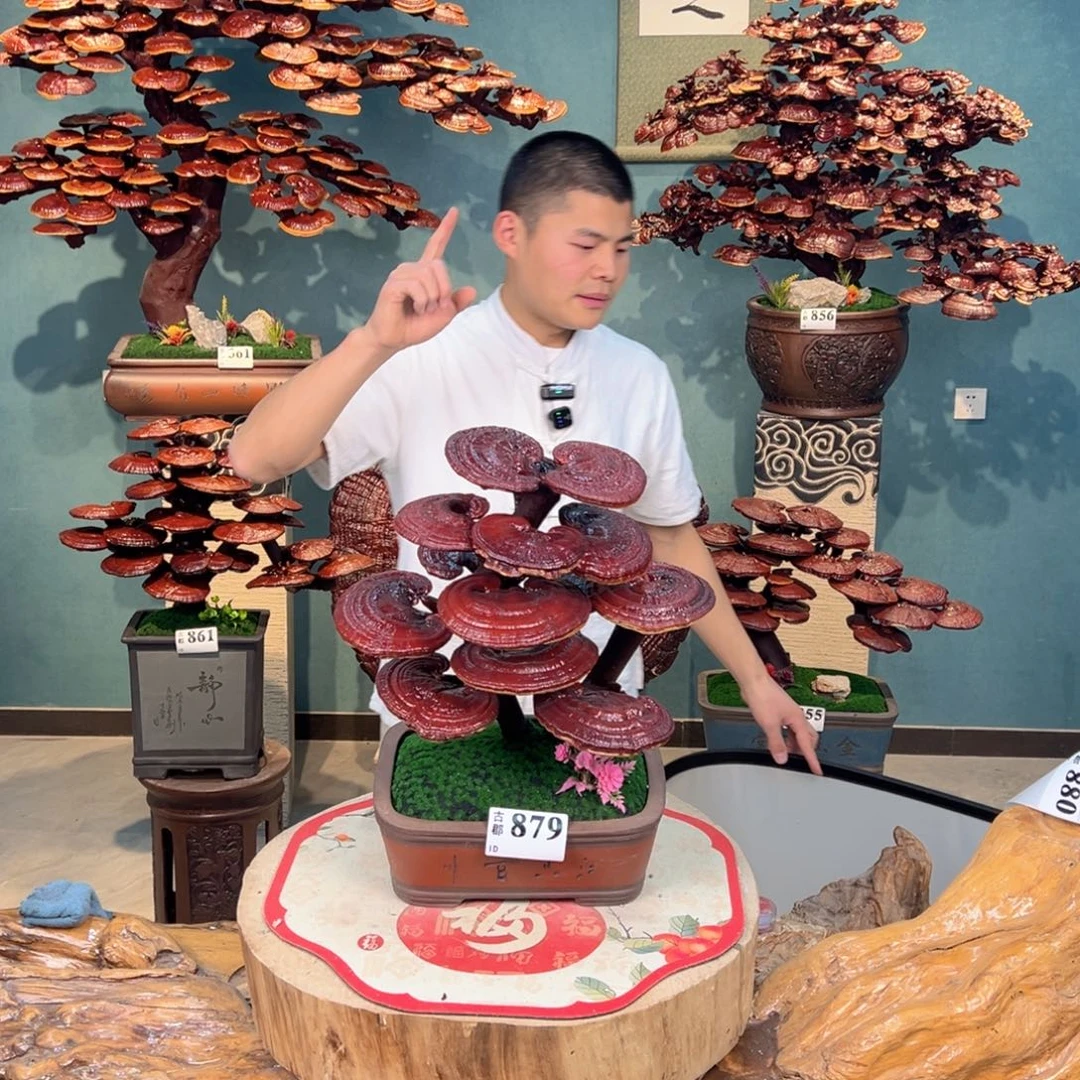 无花朵868686868686