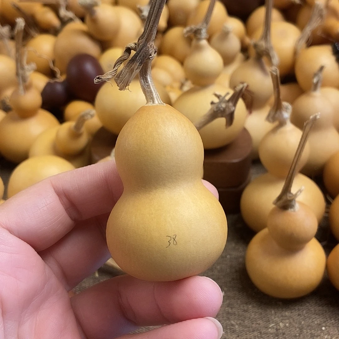 文玩葫芦 完美主义者 慎拍38