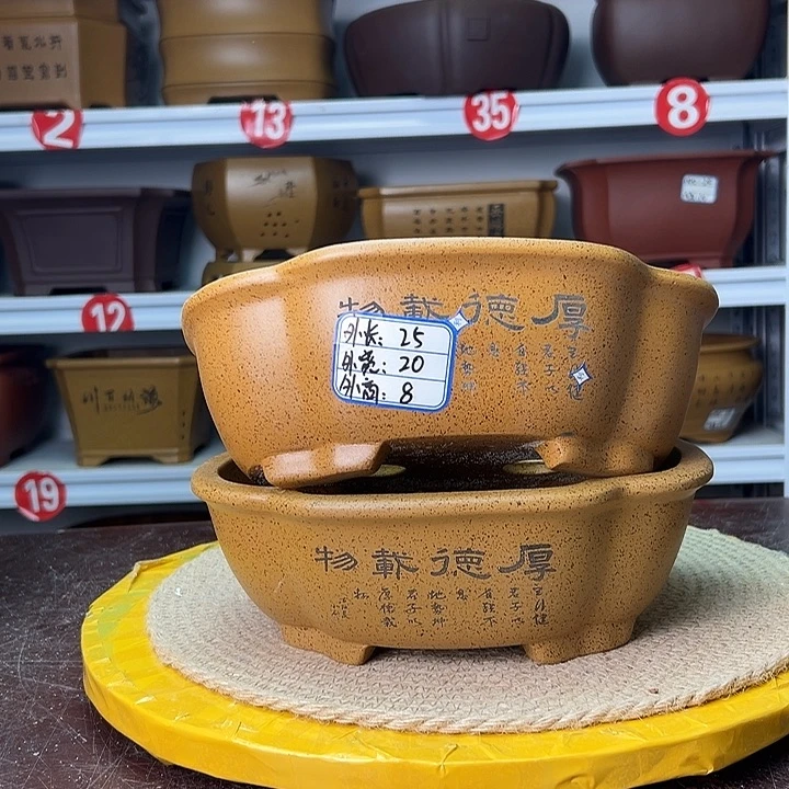 紫砂花盆蛇年大吉