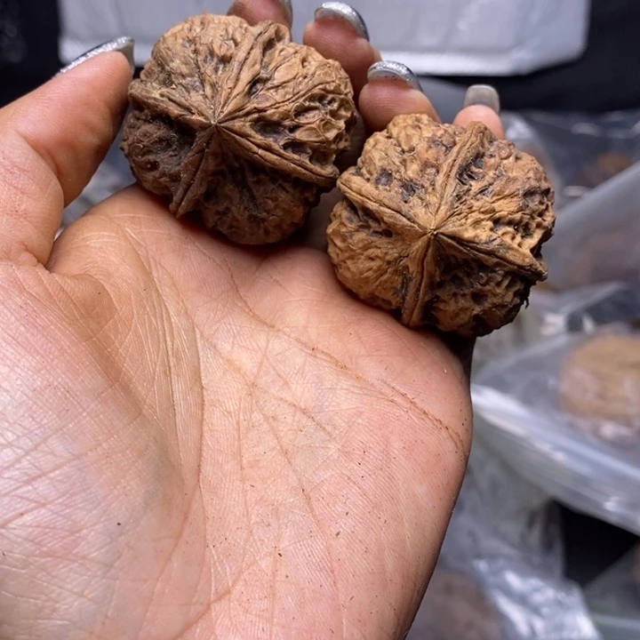 核桃云南野生铁核桃168号38mm