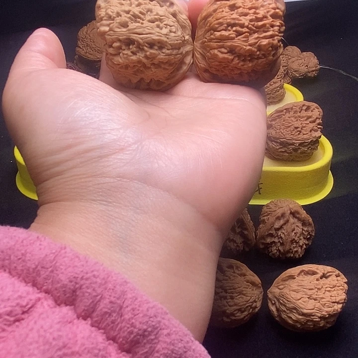 点***计南疆福利价格天残福利