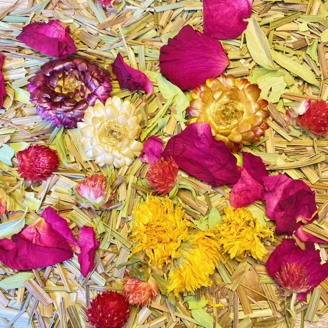 金丝熊花枝鼠侏儒鼠仓鼠自选花草垫料造景除臭