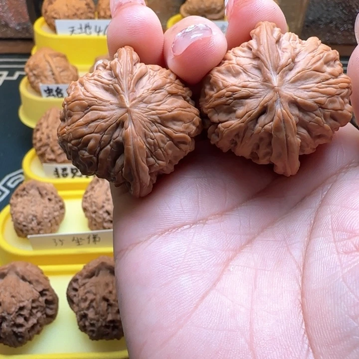 人****行汪汪，核桃磨盘文文核桃磨盘