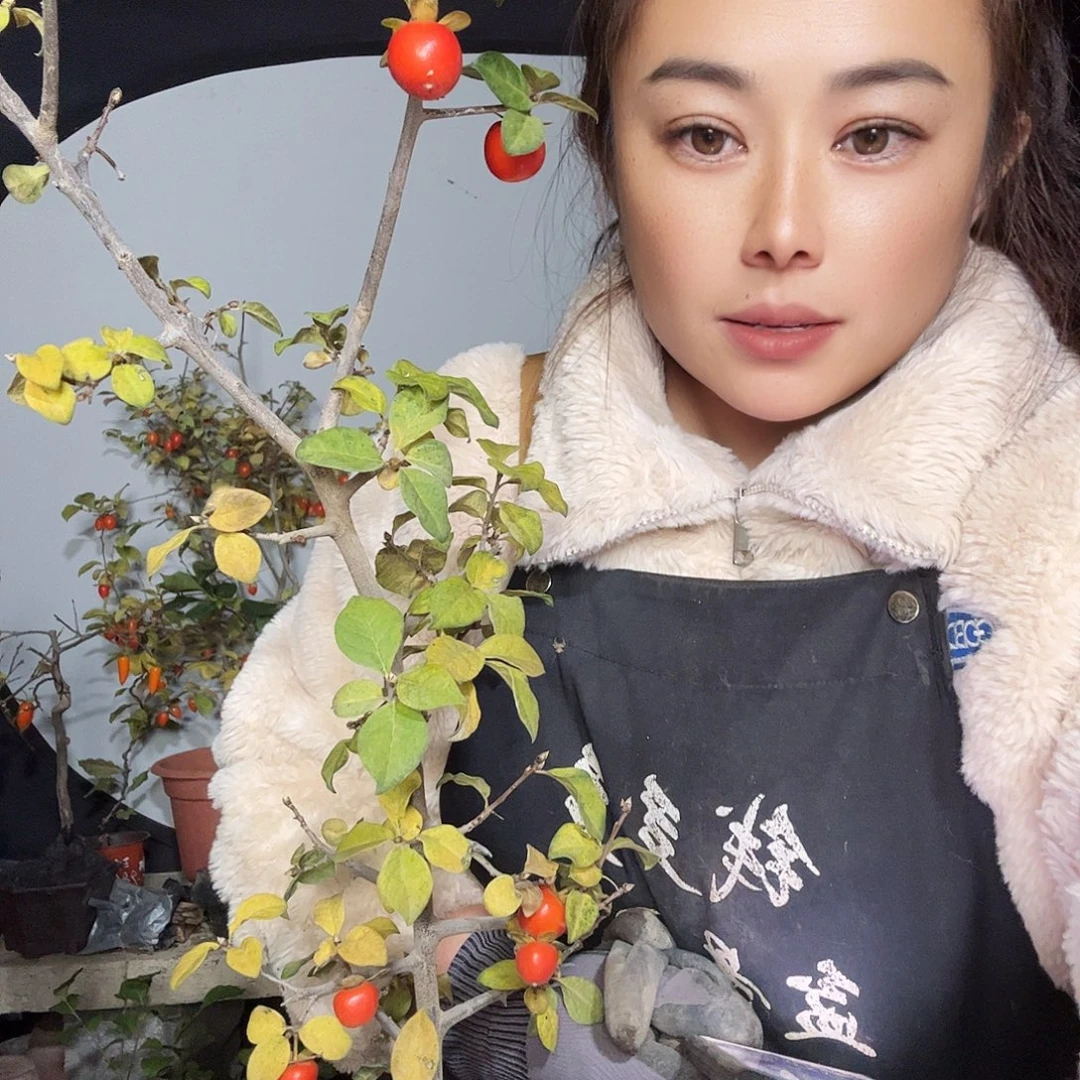 水***情无花朵老鸦柿一物一拍