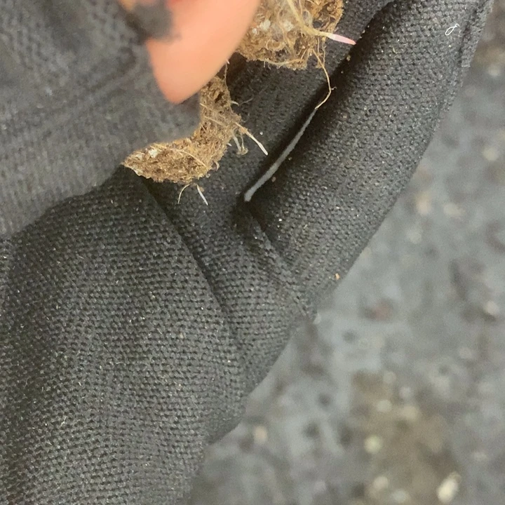 红蛋。（满9.99包邮不满9.99发叶子）