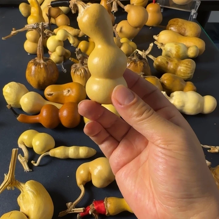 突***突如果好几个发发发尴尬好尴尬尴尬尴尬尴尬