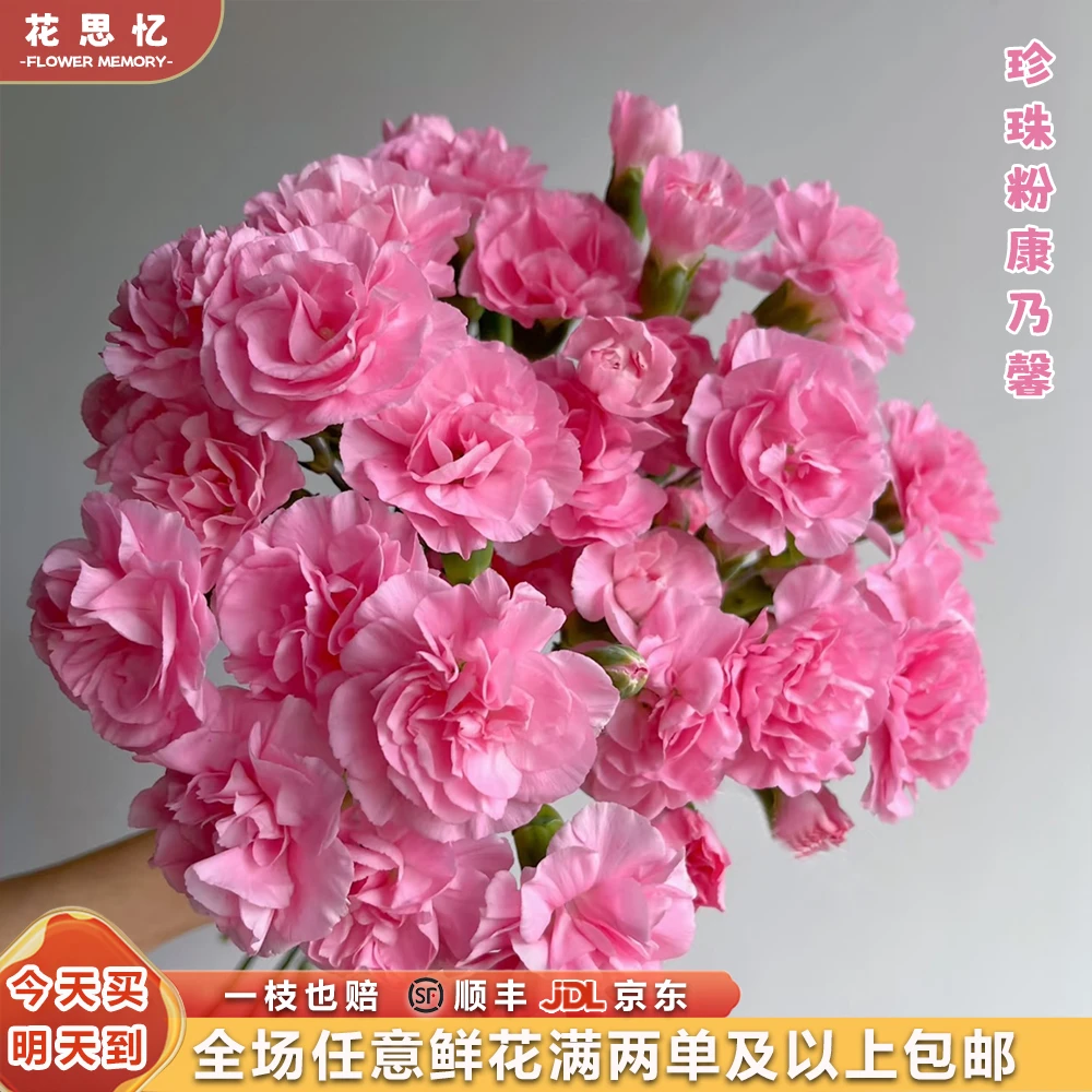 特价『小仙女喜欢的多头珍珠粉康乃馨10枝』家居花 全场任意两单鲜花顺丰京东包邮 三单鲜花送玻璃花瓶 次日达